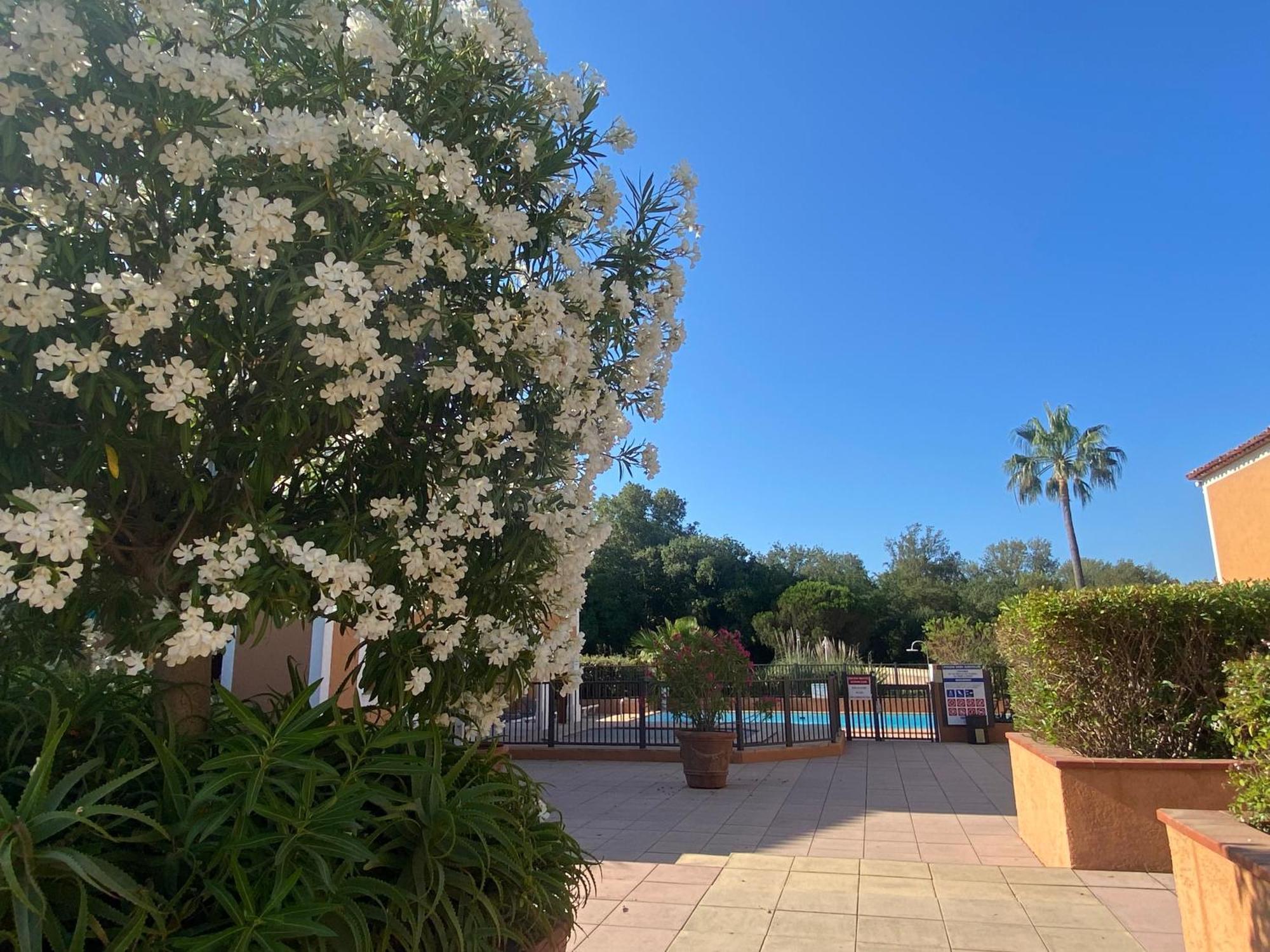 2 Bedrooms, 15 Min Walk To Beach, Ac, Pool & Fiber Internet In A Quiet, Private Gated Domain 5Kms To St Tropez Коголин Экстерьер фото